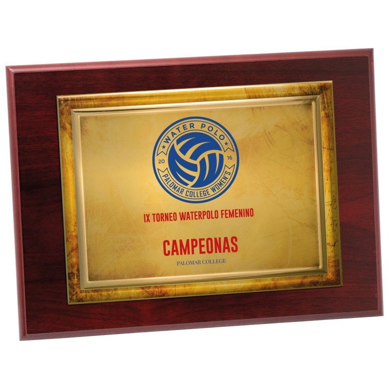 PLACA 17-111 ORO C/MADERA....