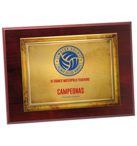 PLACA 17-111 ORO C/MADERA. SUBLIMACION