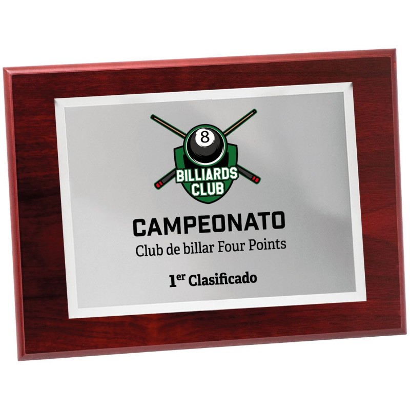 PLACA 17-191 PLATA...