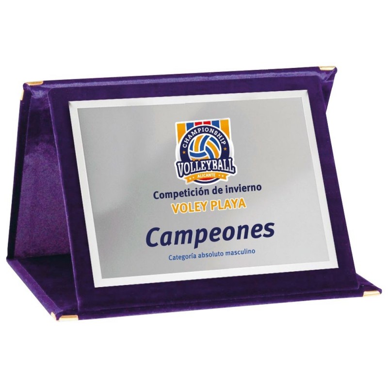 PLACA 17-193 PLATA...