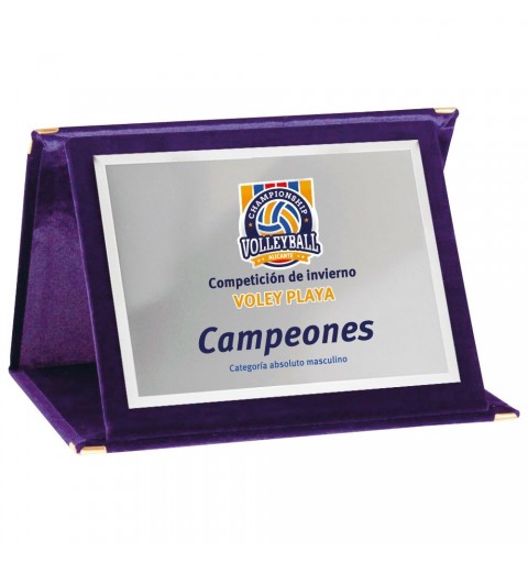 PLACA 17-193 PLATA C/ESTUCHE TARGA SUBLIMACION