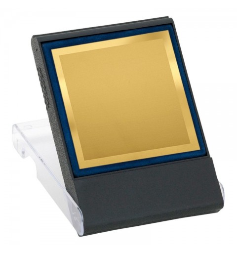 PLACA MINI 17-029 ORO C/ESTUCHE