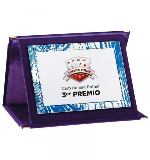 PLACA 17-143 PLATA C/ESTUCHE TARGA SUBLIMACION