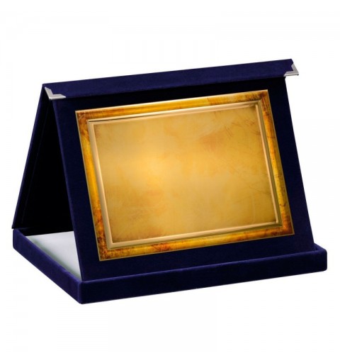 PLACA 17-114 ORO C/ESTUCHE TARGA+ SUBLIMACION