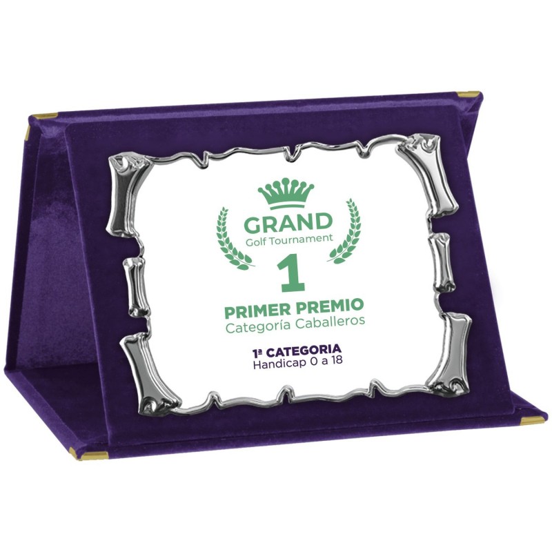 PLACA 17-163 PLATA C/ESTUCHE TARGA SUBLIMACION