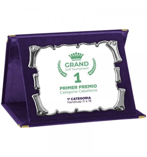 PLACA 17-163 PLATA C/ESTUCHE TARGA SUBLIMACION