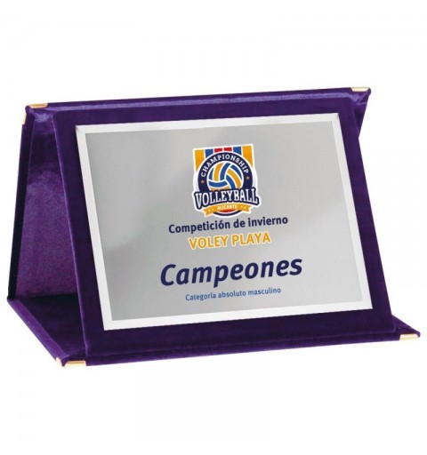 PLACA 17-193 PLATA C/ESTUCHE TARGA SUBLIMACION