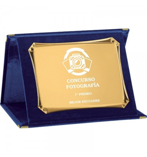 PLACA 17-213 DORADA C/ESTUCHE TARGA