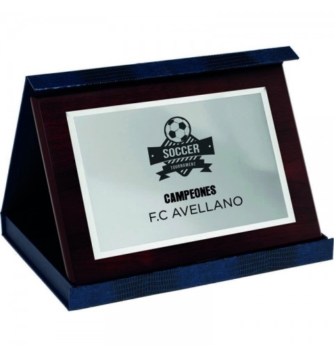 PLACA 17-192 PLATA C/ESTUCHE SUBLIMACION