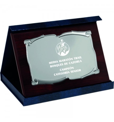 PLACA 17-222 PLATA C/ESTUCHE