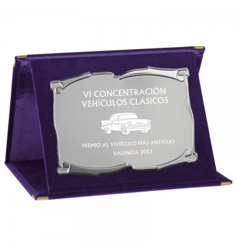 PLACA 17-223 PLATA C/ESTUCHE TARGA