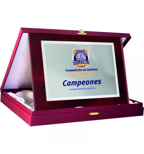 PLACA 17-186 PLATA C/EST.GRANATE. SUBLIMACION