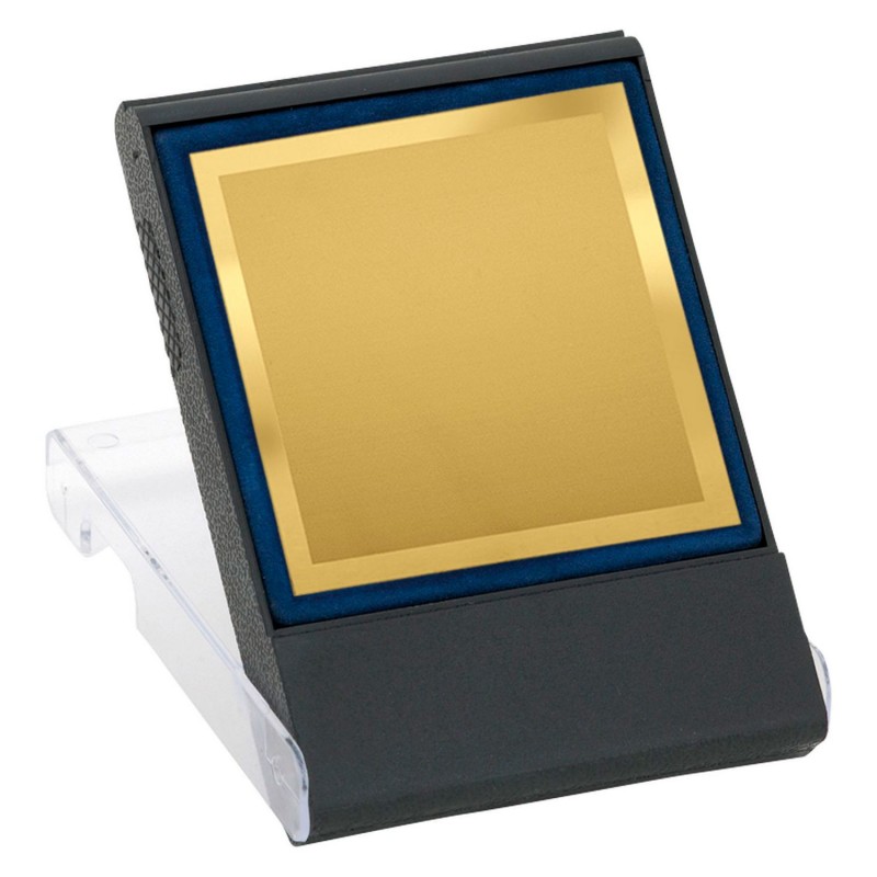 PLACA MINI 17-029 ORO C/ESTUCHE
