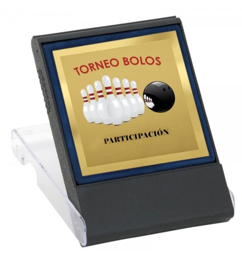 PLACA MINI 17-029 ORO C/ESTUCHE
