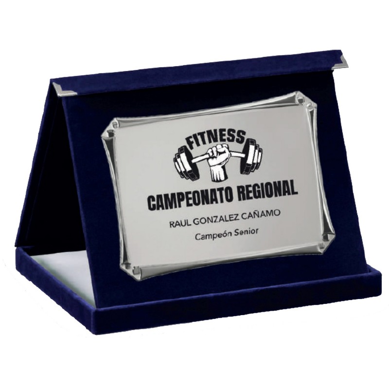 PLACA 17-204 PLATA C/ESTUCHE TARGA