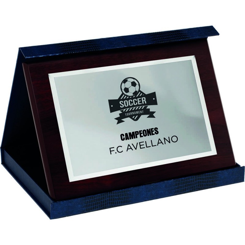 PLACA 17-192 PLATA C/ESTUCHE SUBLIMACION