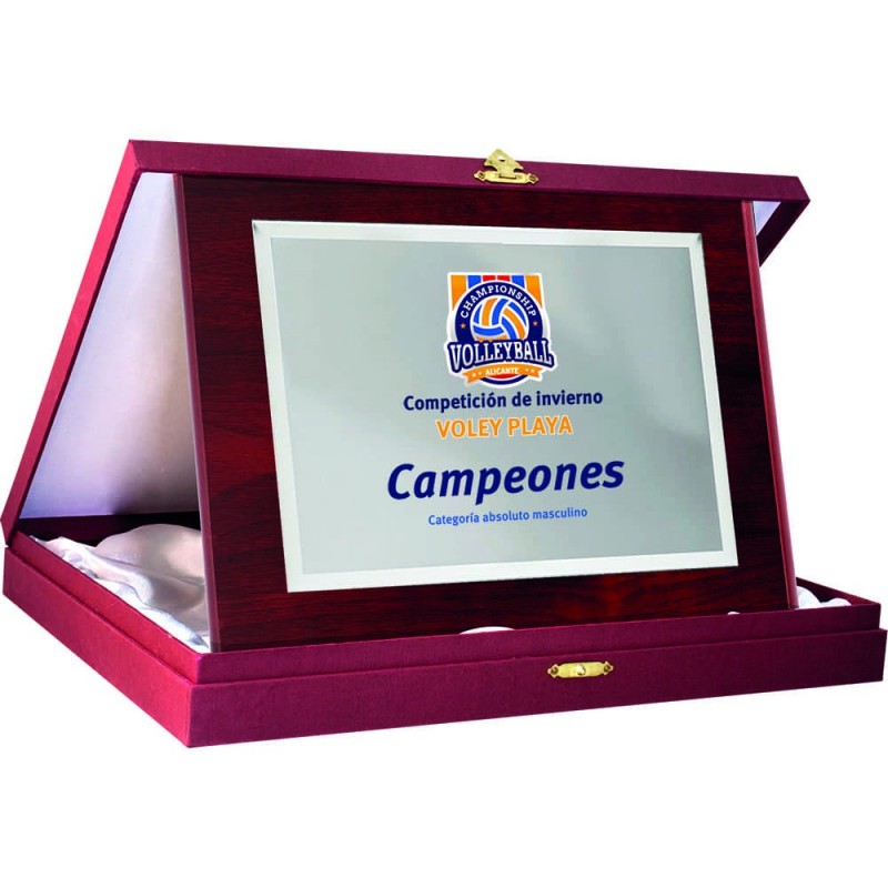 PLACA 17-186 PLATA C/EST.GRANATE. SUBLIMACION