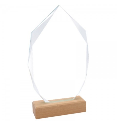 TROFEO CRISTAL 801 BASE MADERA C/ESTUCHE