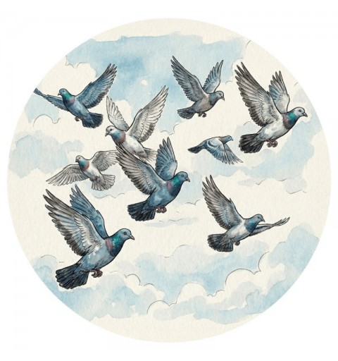 DISCO BOSTON Ø80 MM COLOMBICULTURA