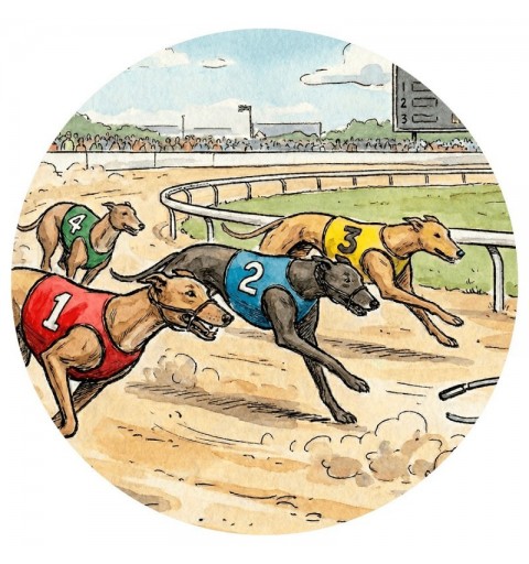 DISCO BOSTON Ø80 MM GALGOS