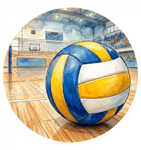 DISCO BOSTON Ø80 MM VOLEIBOL GENERICO