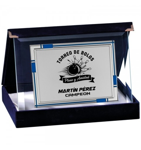 PLACA 17-245 PLATA C/CRISTAL Y ESTUCHE TARGA